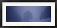 Trees on a snow covered landscape, Schauinsland, Germany Fine Art Print