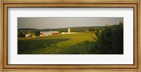 Crop in a field, Frederick County, Virginia, USA Fine Art Print