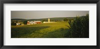 Crop in a field, Frederick County, Virginia, USA Fine Art Print