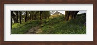 Path Running Through A Forest, Newton Wood, Yorkshire, England, United Kingdom Fine Art Print