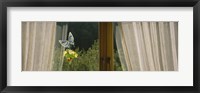 Close-Up Of Flowers And A Butterfly Painted On A Window, Germany Fine Art Print
