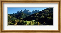 Trees on a landscape, Dolomites, Funes Valley, Le Odle, Santa Maddalena, Tyrol, Italy Fine Art Print