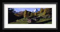 Low angle view of a mountain peak, Matterhorn, Valais Canton, Switzerland Fine Art Print