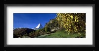 Low angle view of a snowcapped mountain, Matterhorn, Valais, Switzerland Fine Art Print