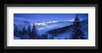 Trees on a polar landscape, Simplon Pass, Switzerland Fine Art Print