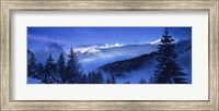 Trees on a polar landscape, Simplon Pass, Switzerland Fine Art Print