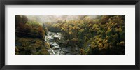 High angle view of trees in a forest, Simplon Pass, Switzerland Fine Art Print