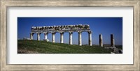 Columns on a landscape, Apamea, Syria Fine Art Print