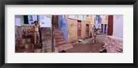 Boy and a bull in front of building, Jodhpur, Rajasthan, India Fine Art Print