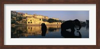 Silhouette of two elephants in a river, Amber Fort, Jaipur, Rajasthan, India Fine Art Print