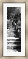 Low angle view of steps in a garden, Neptune's Steps, Tresco Abbey Garden, Tresco, Isles Of Scilly, England Fine Art Print