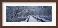 Trees along a snow covered footbridge, Yosemite National Park, California, USA Fine Art Print