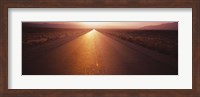 Road passing through a desert, Nevada, USA Fine Art Print