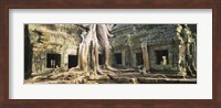 Close up of Old ruins of a building, Angkor Wat, Cambodia Fine Art Print