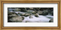 River flowing through rocks, Skokomish River, Olympic National Park, Washington State, USA Fine Art Print