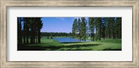 Trees on a golf course, Edgewood Tahoe Golf Course, Stateline, Nevada, USA Fine Art Print