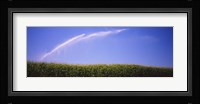 Water being sprayed on a corn field, Washington State, USA Fine Art Print