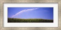 Water being sprayed on a corn field, Washington State, USA Fine Art Print