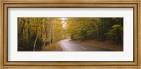 Road passing through a forest, Park Loop Road, Acadia National Park, Mount Desert Island, Maine, USA Fine Art Print
