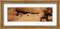 Tree in front of the ruins of cliff dwellings, White House Ruins, Canyon de Chelly National Monument, Arizona, USA Fine Art Print