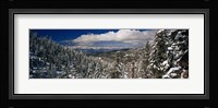Snow covered pine trees in a forest with a lake in the background, Lake Tahoe, California, USA Fine Art Print