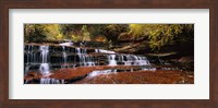 Waterfall in a forest, North Creek, Zion National Park, Utah, USA Fine Art Print