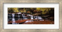 Waterfall in a forest, North Creek, Zion National Park, Utah, USA Fine Art Print