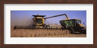 Combine harvesting soybeans in a field, Minnesota Fine Art Print