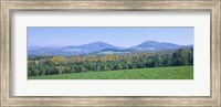 Mountains in Northeast Kingdom, Vermont Fine Art Print