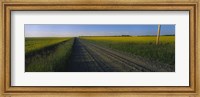 Country Road in Millet, Canada Fine Art Print