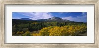 Valley of Trees in Wateron Lakes Fine Art Print