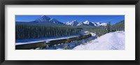 Train Traveling through Banff National Park Fine Art Print