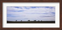 Horses in Field Fine Art Print