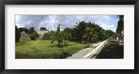 Old ruins of a temple in a forest, Xunantunich, Belize Fine Art Print