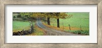 Highway passing through a landscape, Old King's Highway, Woodstock, Vermont, USA Fine Art Print