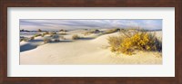 White Sands National Monument, New Mexico Fine Art Print