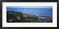High angle view of houses at a coast, Ponta Delgada, Madeira, Portugal Fine Art Print