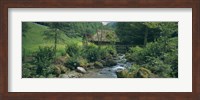 River flowing through forest, Black Forest, Glottertal, Germany Fine Art Print