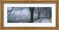 Trees along a snow covered road, Freiburg Im Breisgau, Breisgau, Baden-Wurttemberg, Germany Fine Art Print
