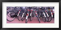 Bicycles parked in a parking lot, Amsterdam, Netherlands Fine Art Print