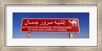 Low angle view of a camel crossing signboard, Douz, Tunisia Fine Art Print