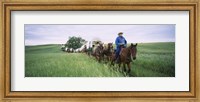 Historical reenactment of covered wagons in a field, North Dakota, USA Fine Art Print