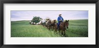Historical reenactment of covered wagons in a field, North Dakota, USA Fine Art Print
