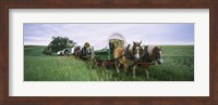 Historical reenactment, Covered wagons in a field, North Dakota, USA Fine Art Print