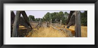 Ranch cattle chute in a field, North Dakota, USA Fine Art Print