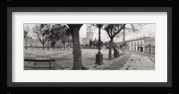 Trees in front of a building, Alameda Vieja, Jerez, Cadiz, Spain Fine Art Print