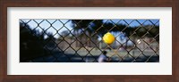 Close-up of a tennis ball stuck in a fence, San Francisco, California, USA Fine Art Print