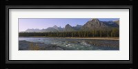 Trees along a river with a mountain range in the background, Athabasca River, Jasper National Park, Alberta, Canada Fine Art Print