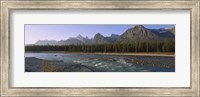 Trees along a river with a mountain range in the background, Athabasca River, Jasper National Park, Alberta, Canada Fine Art Print