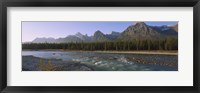 Trees along a river with a mountain range in the background, Athabasca River, Jasper National Park, Alberta, Canada Fine Art Print